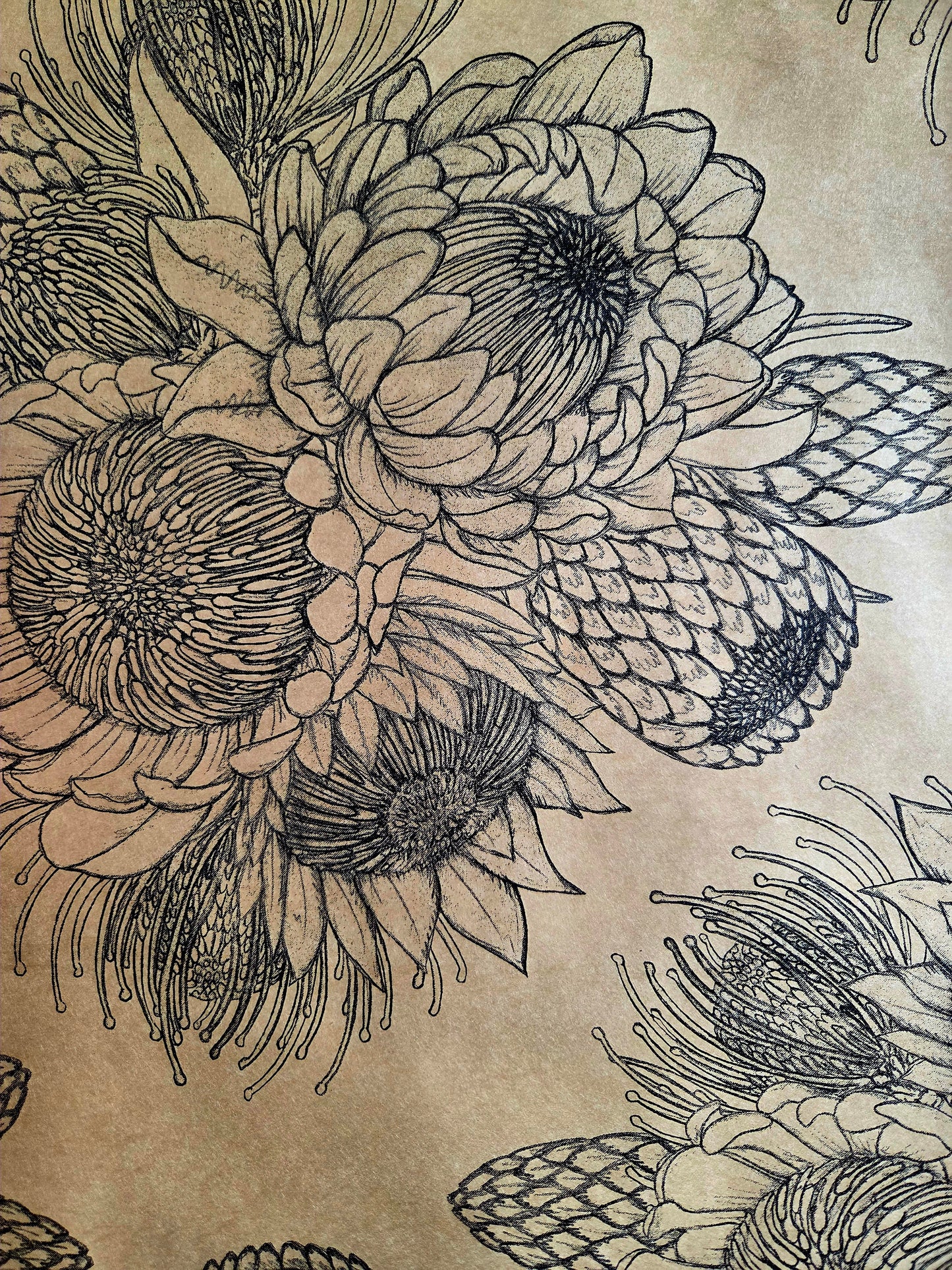 Gift wrapping - Australian natives