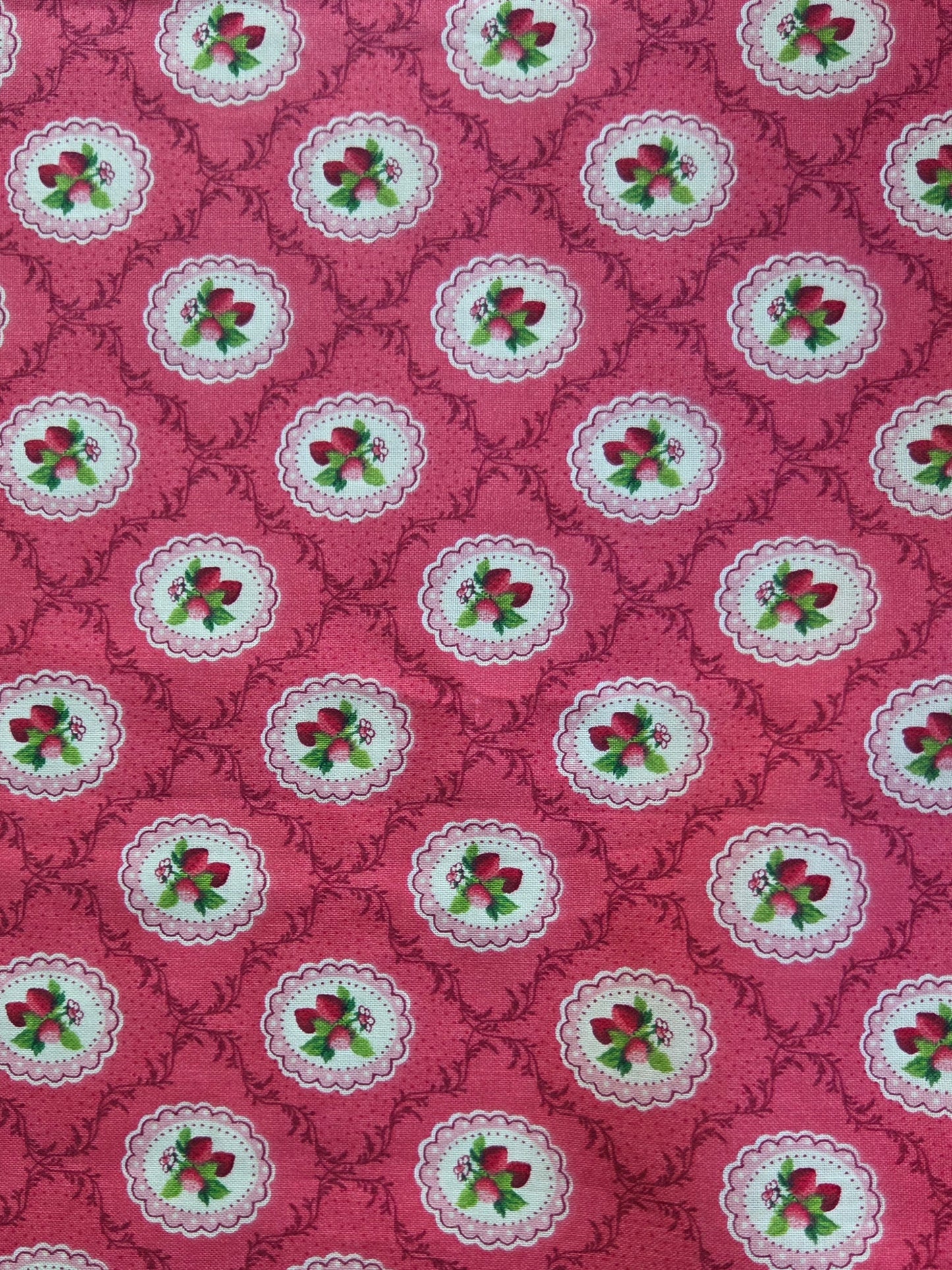 BERRY PICKIN' zipper pouch