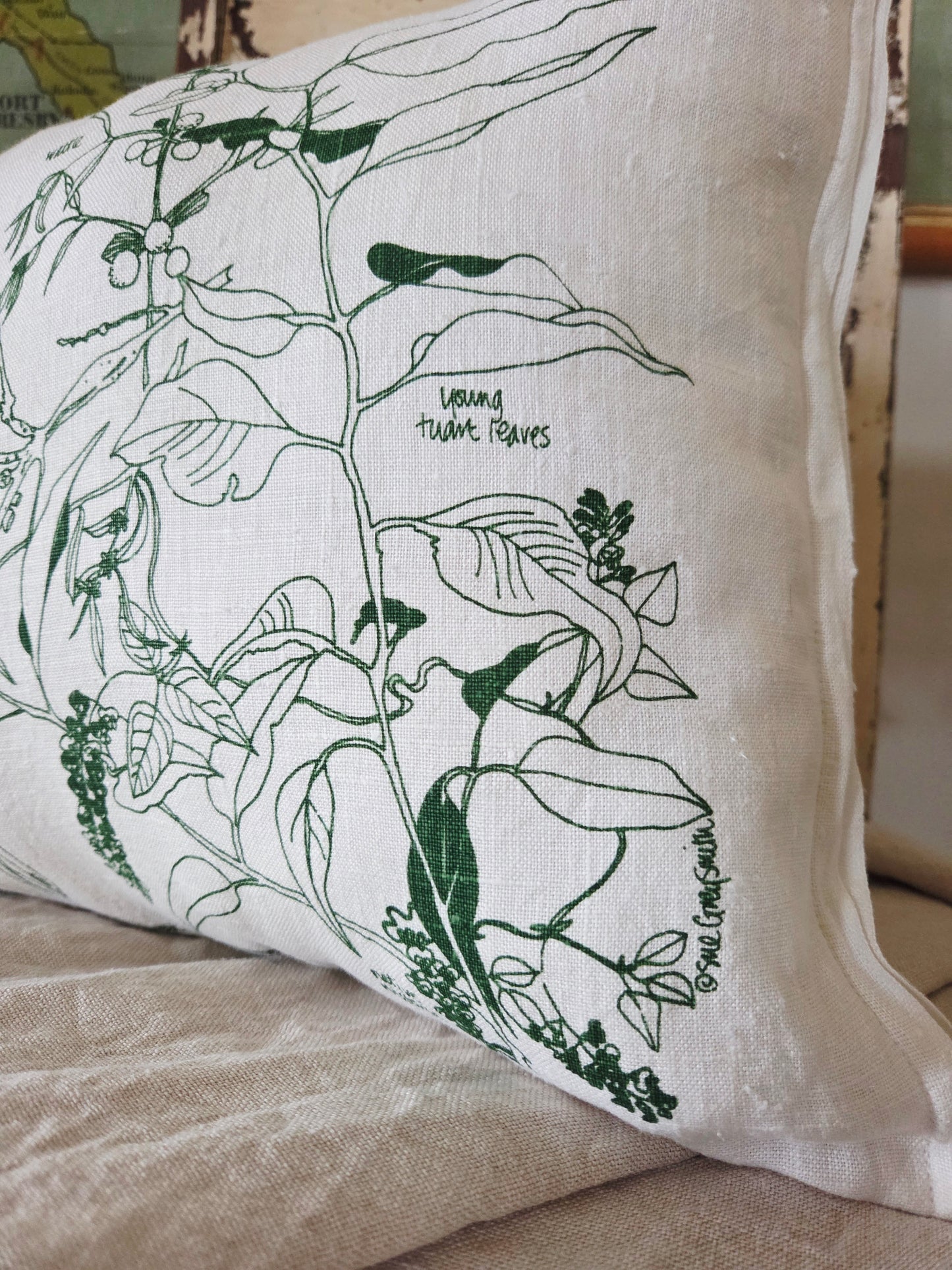 Busselton Botanical cushion