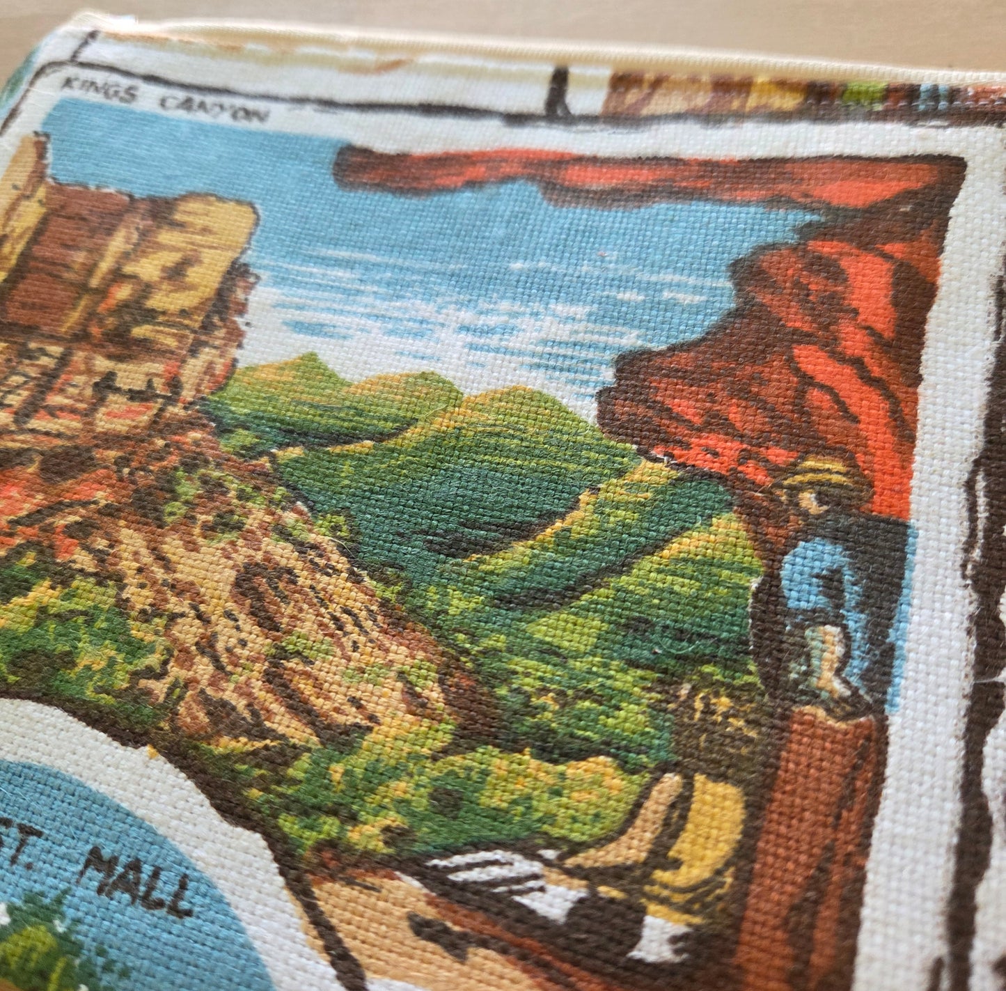 POSTCARD FROM KINGS CANYON zipper pouch