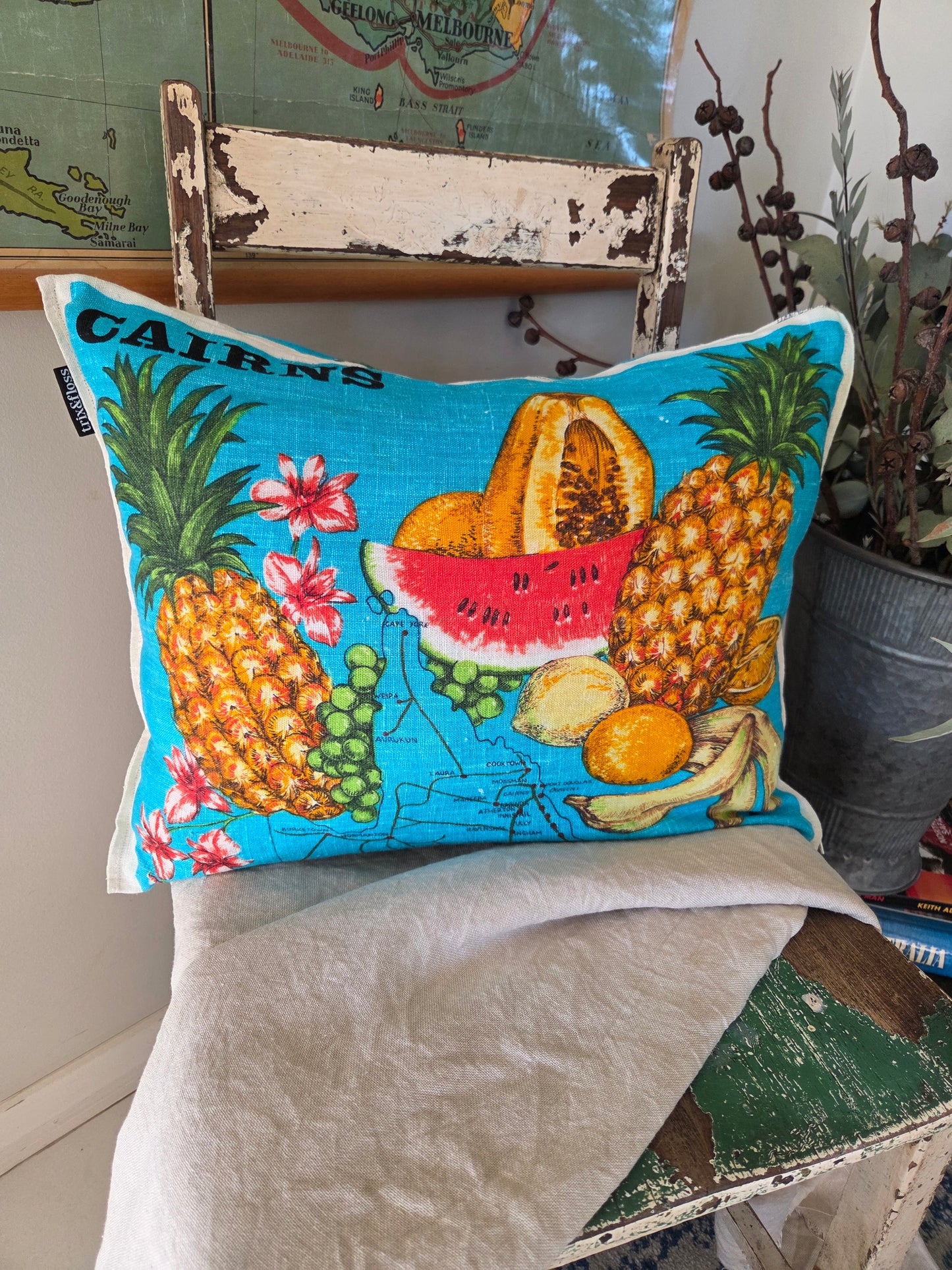 Far North cushion