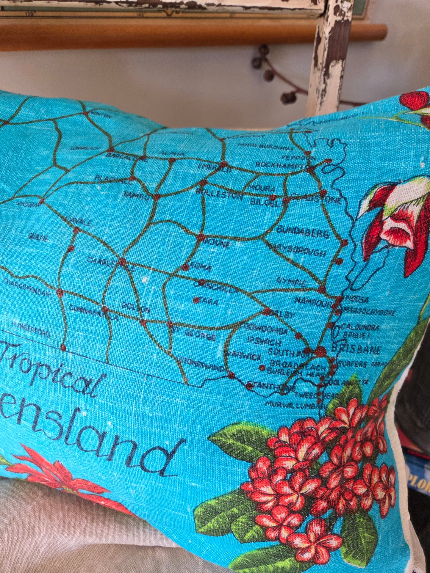 Far North cushion