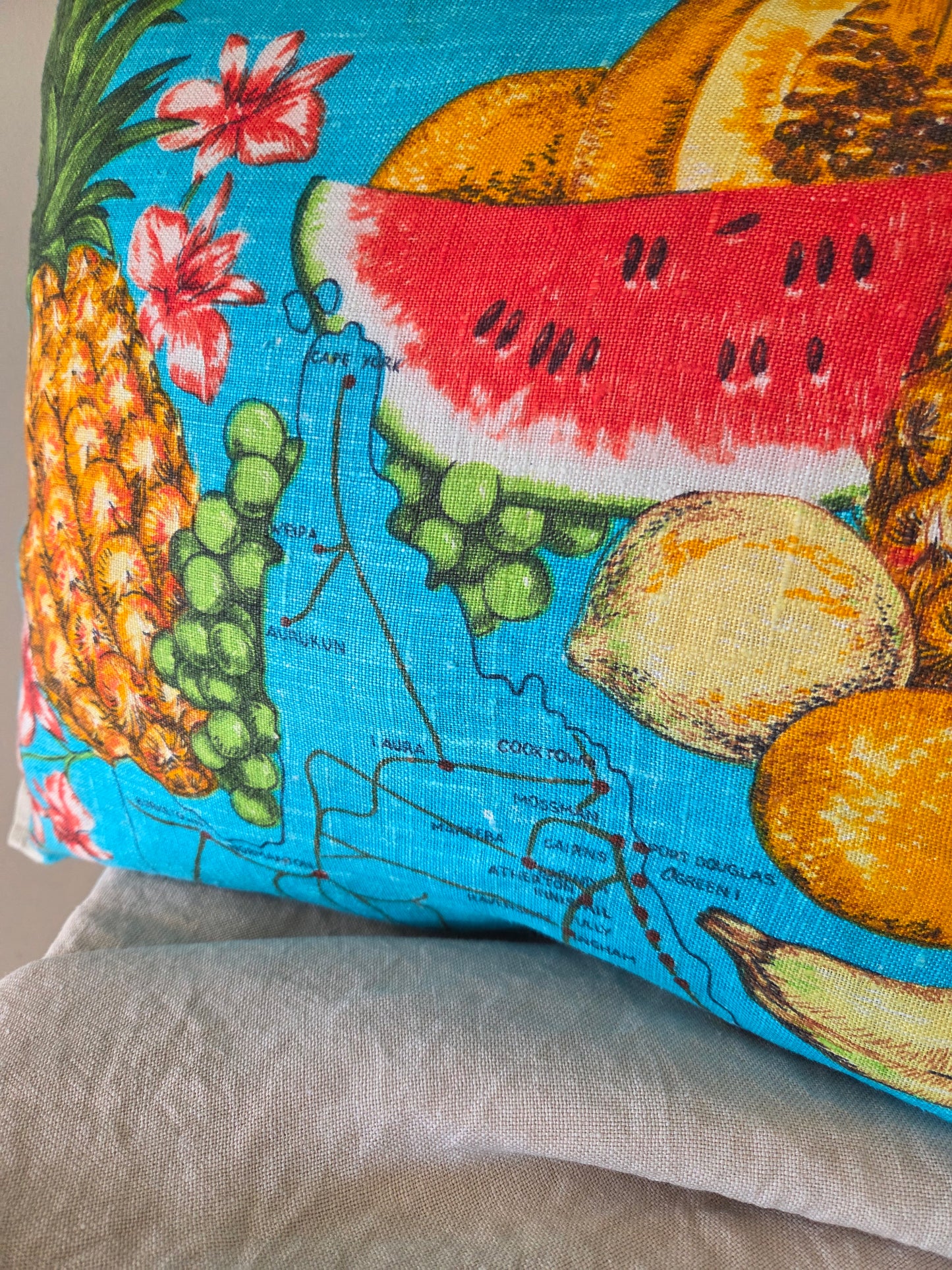Far North cushion
