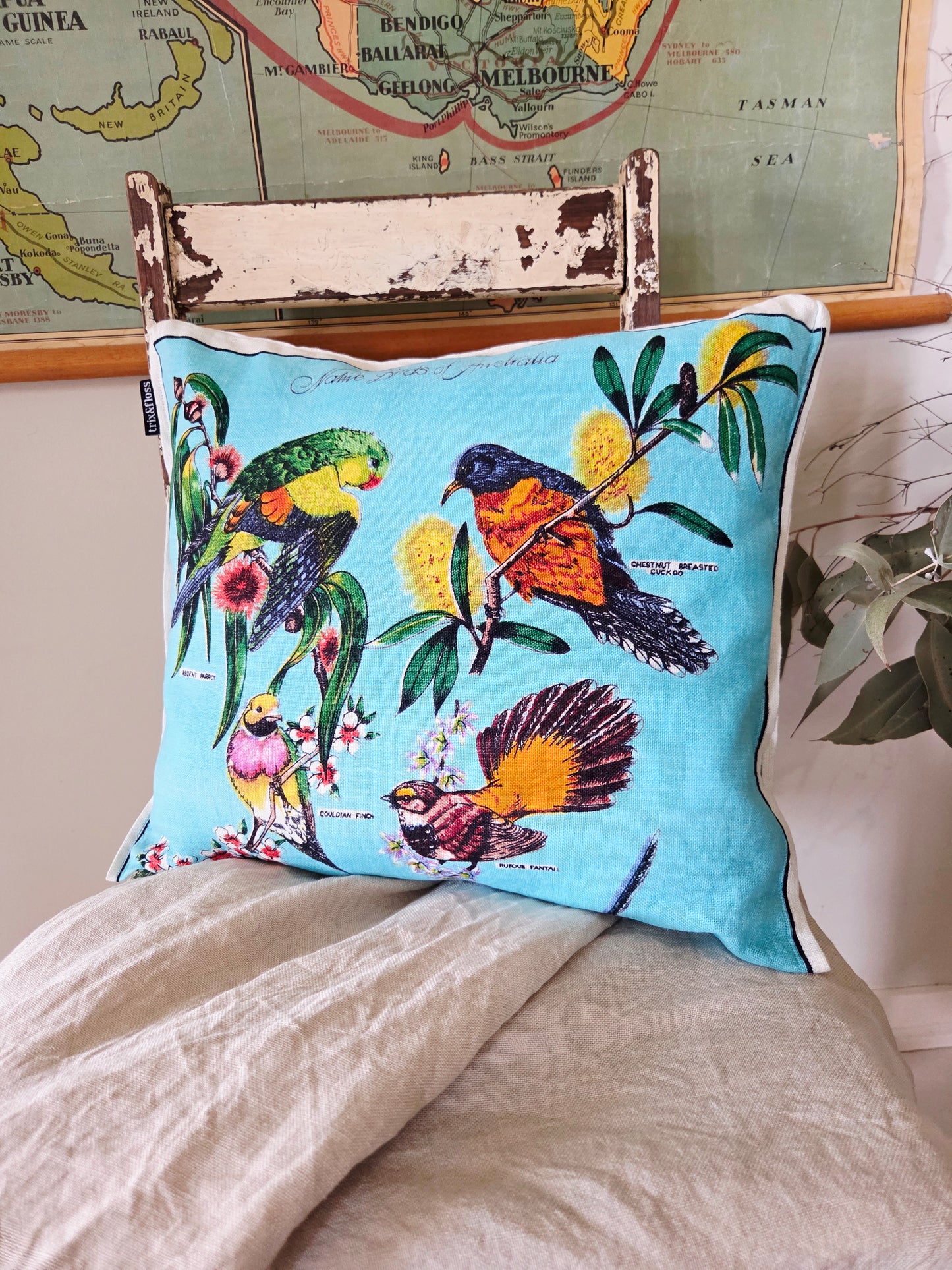 Native Birds cushion