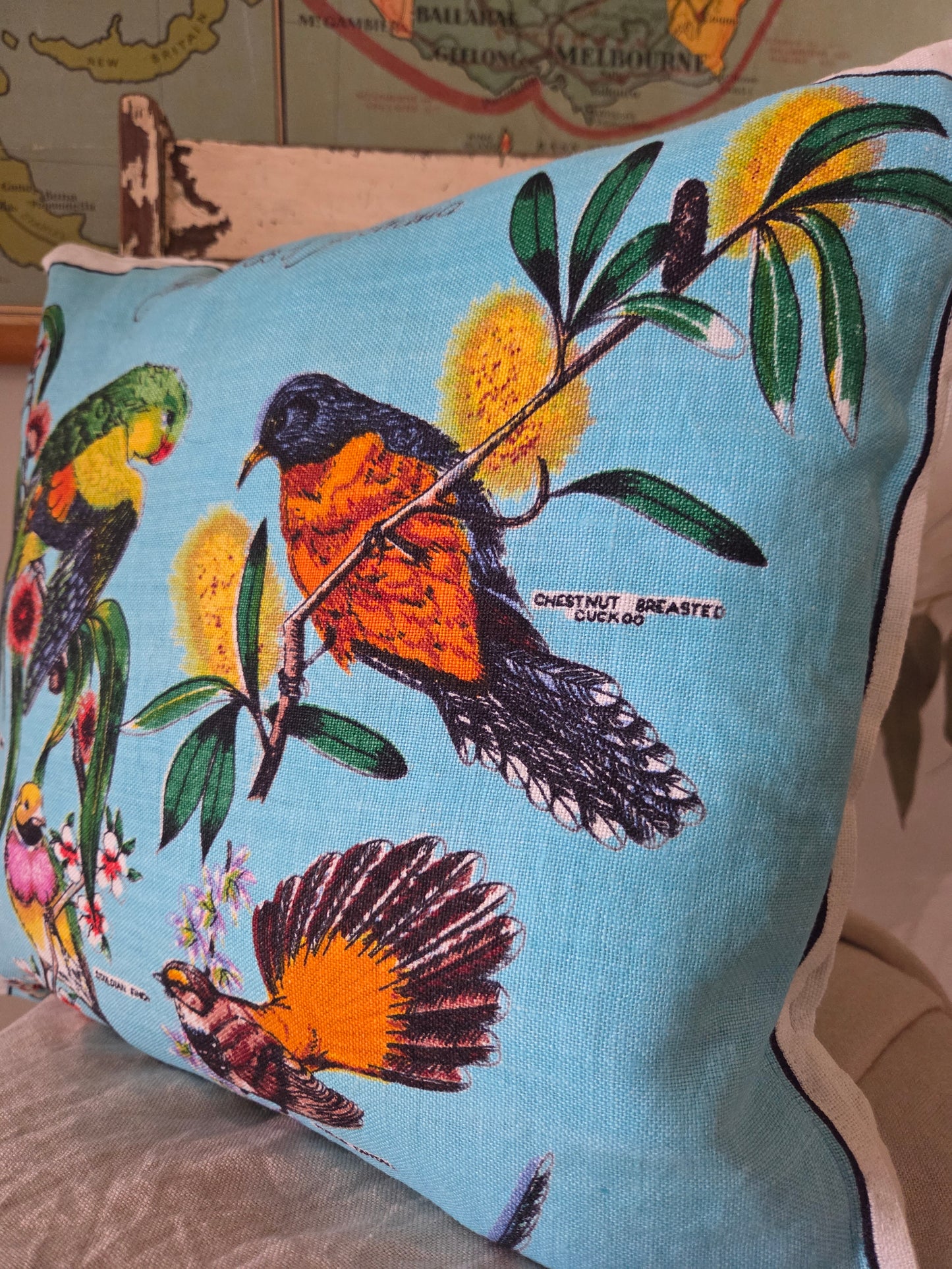 Native Birds cushion