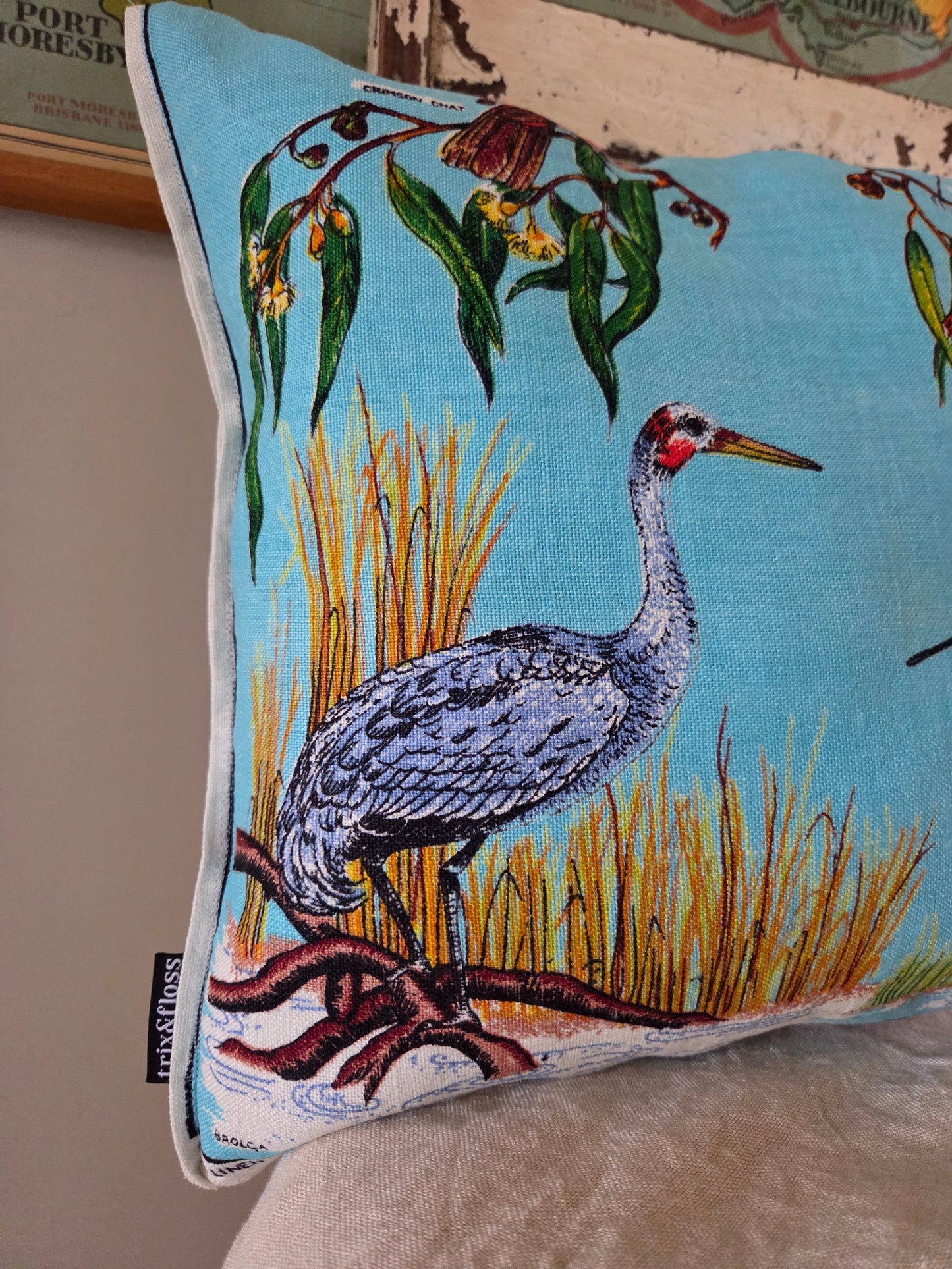 Native Birds cushion