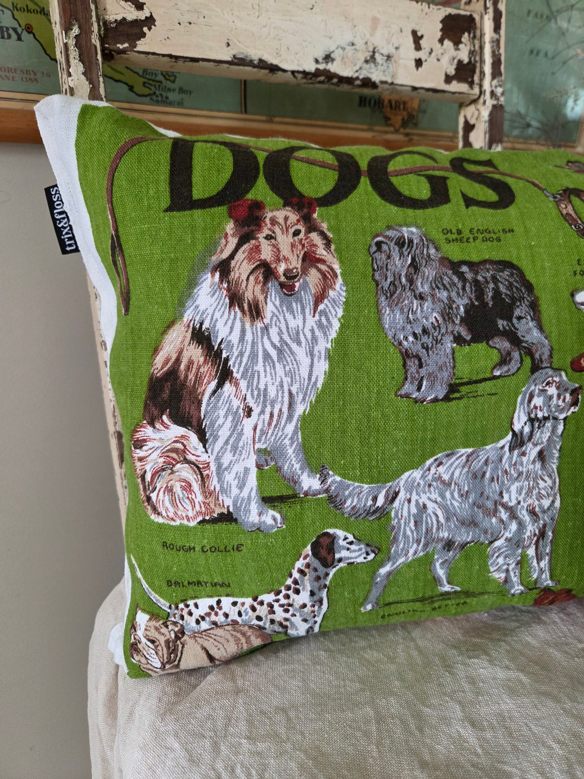 Dogs for Days cushion
