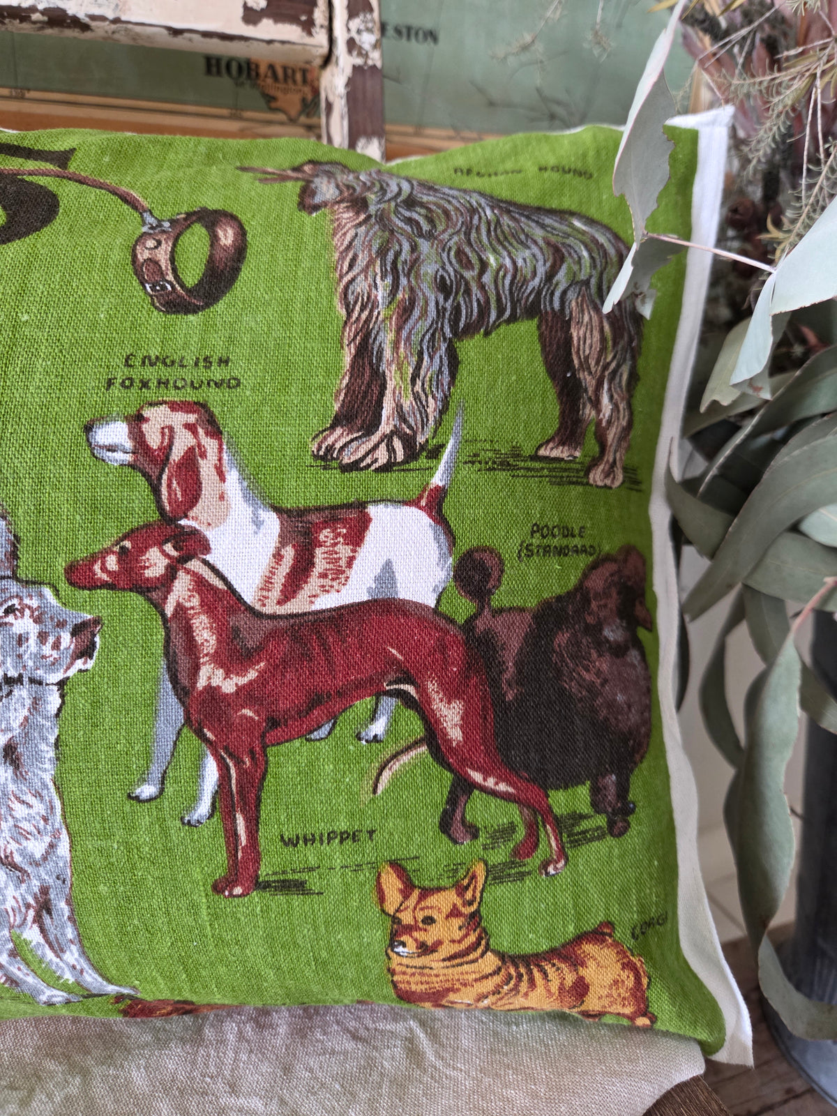 Dogs for Days cushion