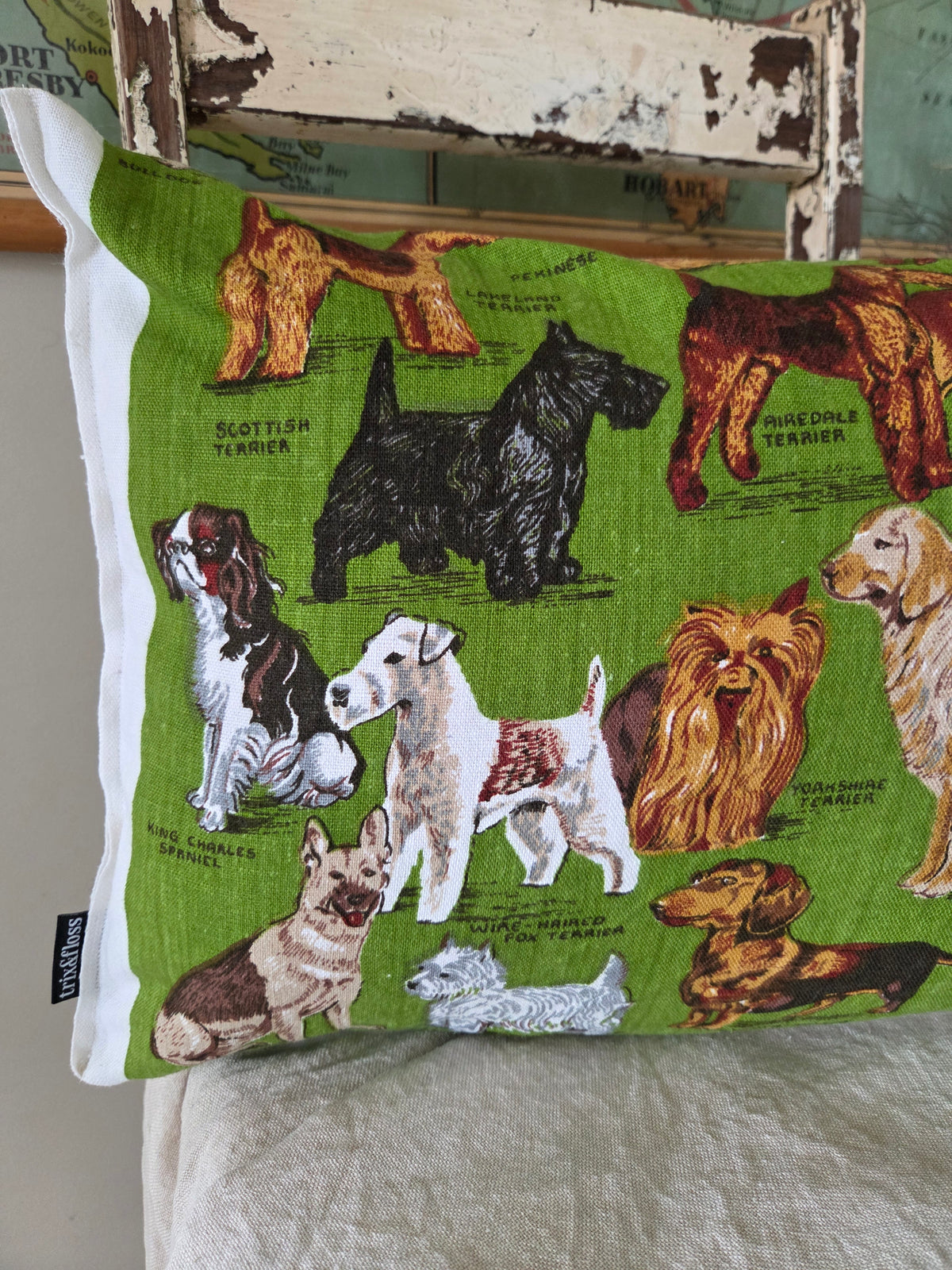 Dogs for Days cushion