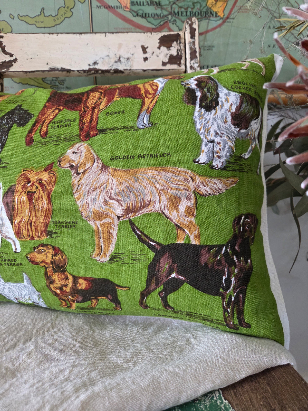 Dogs for Days cushion